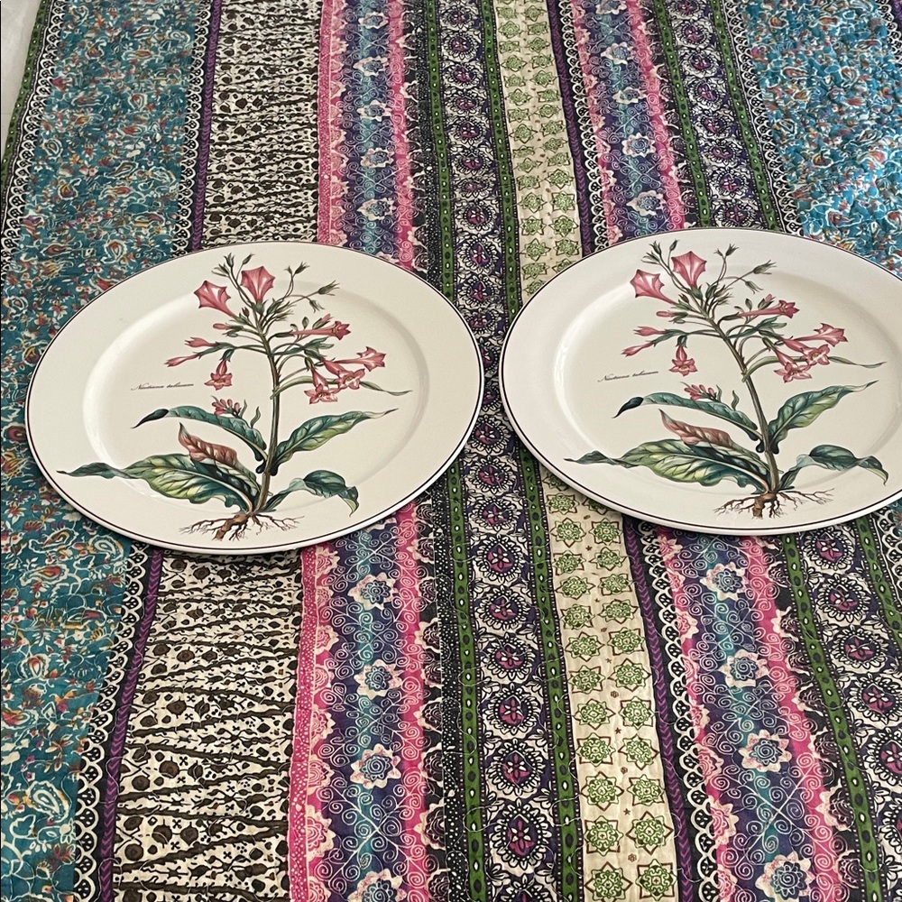 2 villory & Boch Pink Floral Dinner Plates